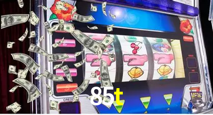 85t.com